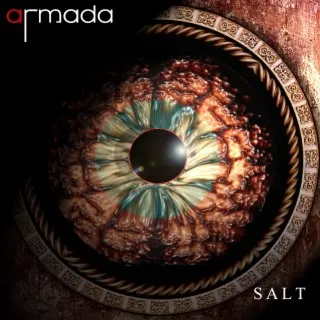 Salt cover art