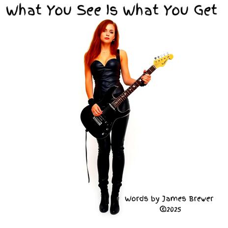 What You See Is What You Get cover art