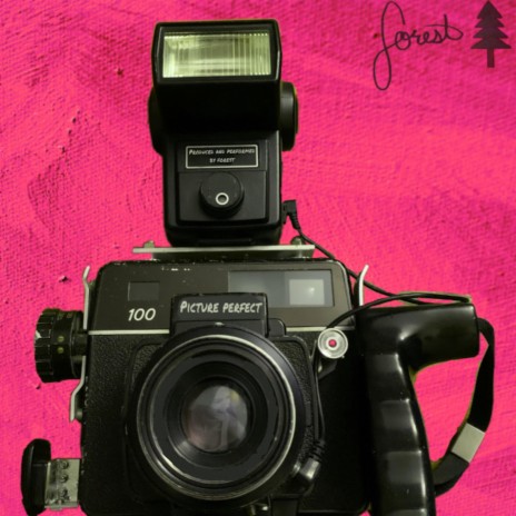 Picture Perfect