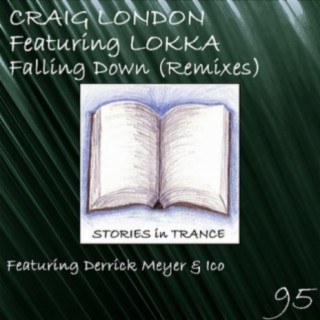 Falling Down (Derrick Meyer Remix) ft. Lokka cover art