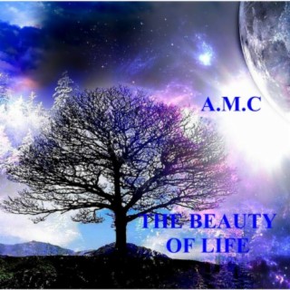 The Beauty of life cover art