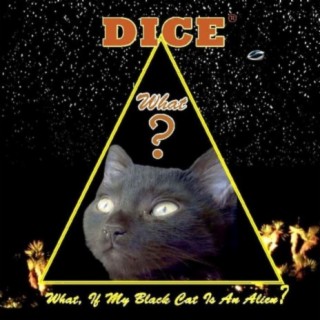 What, If My Black Cat Is an Alien