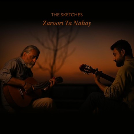 Zaroori Ta Nahay cover art
