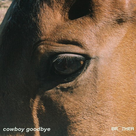 Cowboy Goodbye cover art
