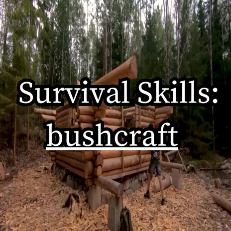 Primitive camping skills cover art