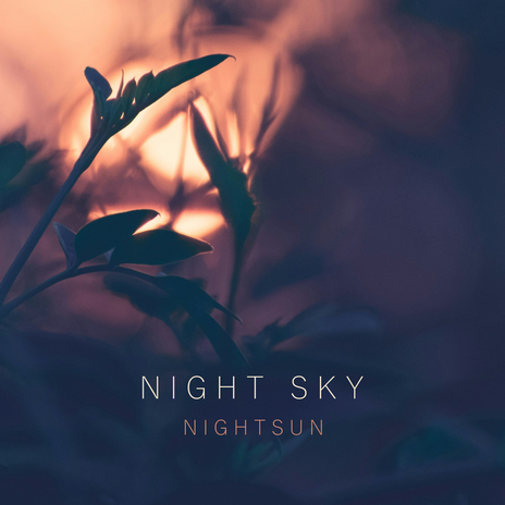Nightsun cover art
