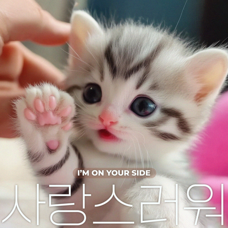 행복이 가득해 cover art