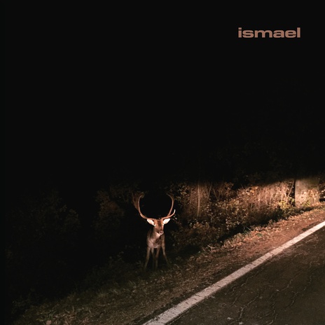 Canzone dei salici cover art