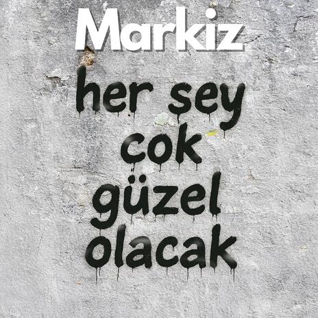 Benim savaşım cover art