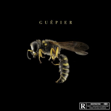 #6 cover art