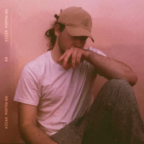 Daisies and Dandelions cover art