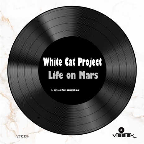 Life on Mars (original mix) cover art
