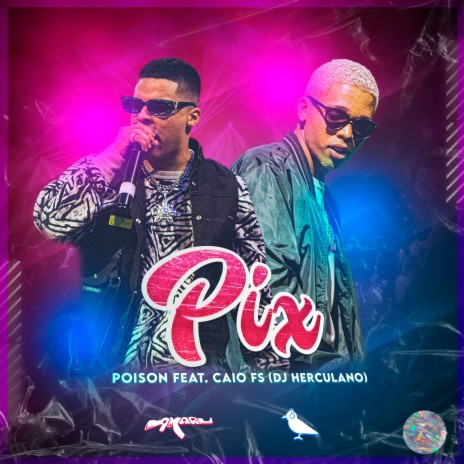 Pix ft. MC Caio FS cover art