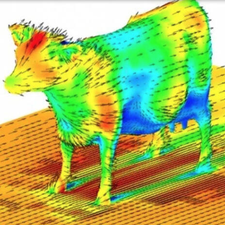 dynamics of a bovine ft. grantis may cover art