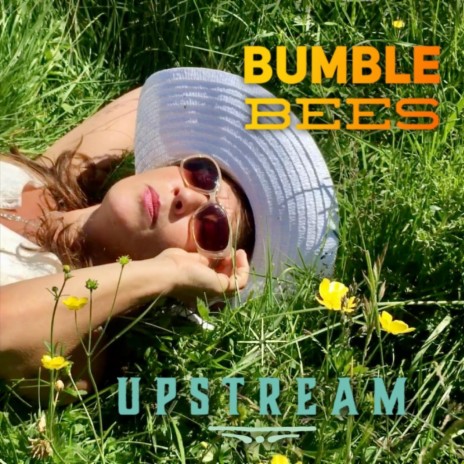 Bumblebees cover art