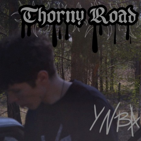 Лжёшь cover art