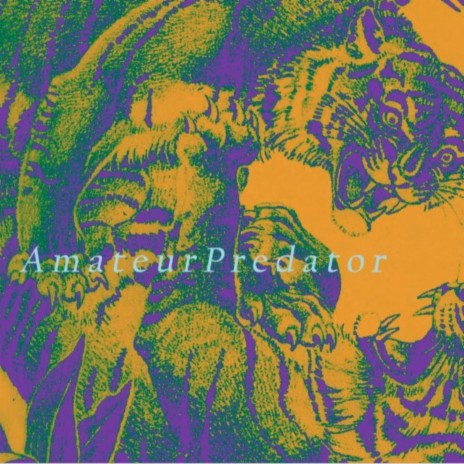Amateur Predator cover art