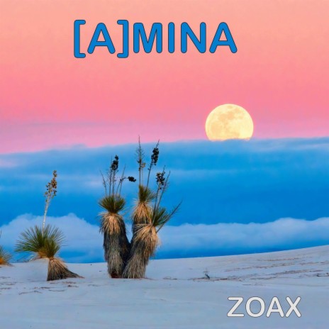 Amina cover art