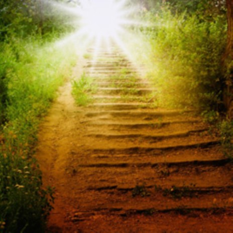 In to the light cover art
