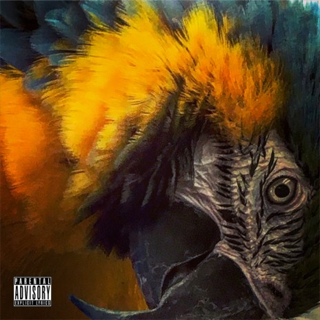 What Do I Know? cover art