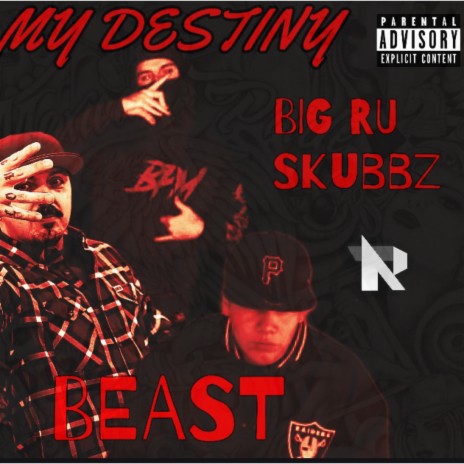 My Destiny ft. Skubbz & Big Ru cover art