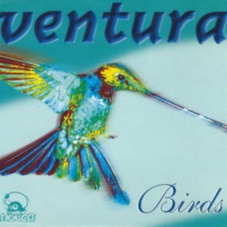 Birds (Remastered)