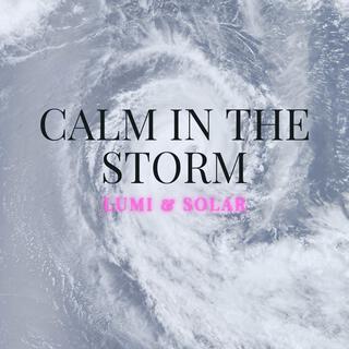 Calm In The Storm cover art