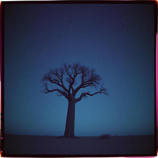 Eliting