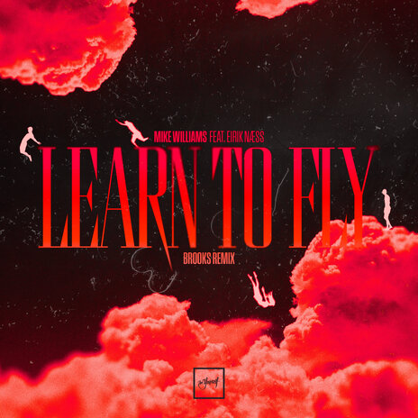 Learn To Fly (Brooks Remix) ft. Eirik Naess cover art