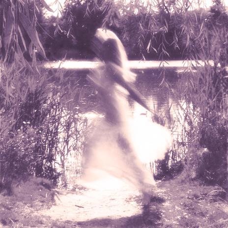 Moja Wierzbo cover art