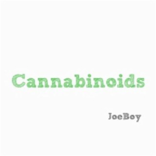 JoeBoy