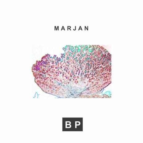 Marjan cover art