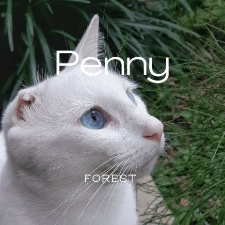 Penny cover art