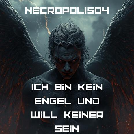 Ich suche meine große Liebe, aber du bist es nicht cover art