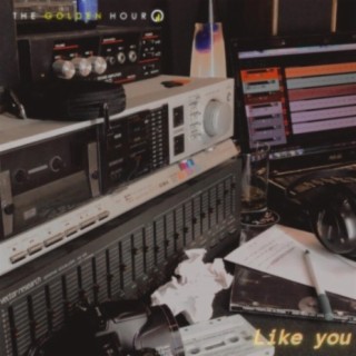 Like You cover art