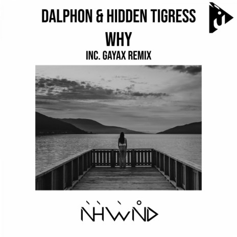 Why (Original Mix) ft. Hidden Tigress cover art