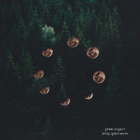 first light cover art