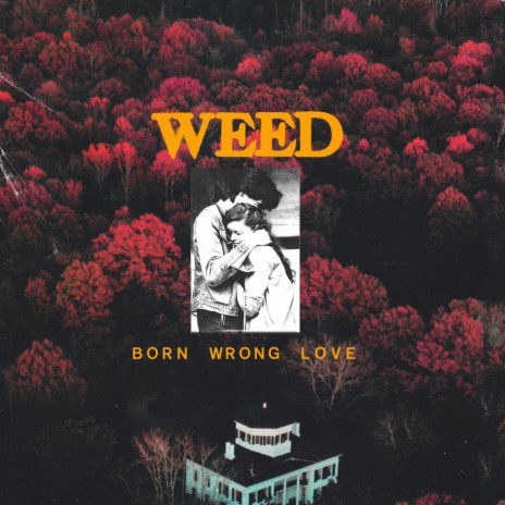 Are We Cool? cover art