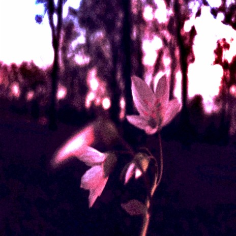 touch hour on early autumn flying cover art