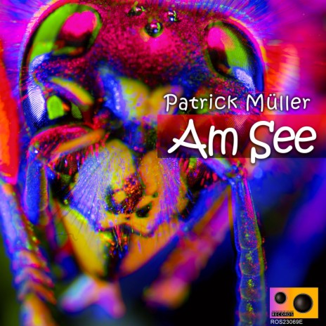 Am See (E.D.D.B Remix) cover art
