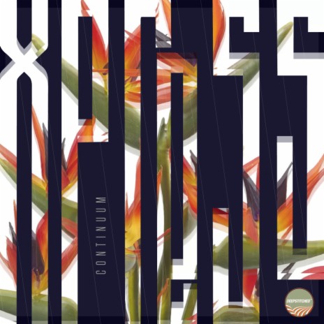 Xpress (Addex Remix) cover art