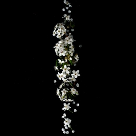 Heavenly Tune cover art