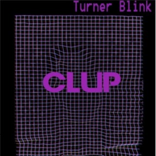 Turner Blink