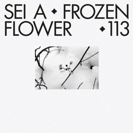 Frozen Flower (Midland Remix) cover art