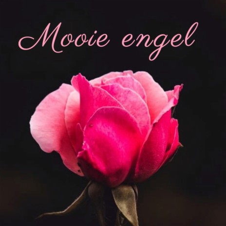 Mooie engel cover art