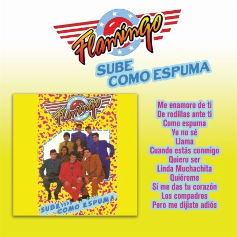 Yo No Sé cover art