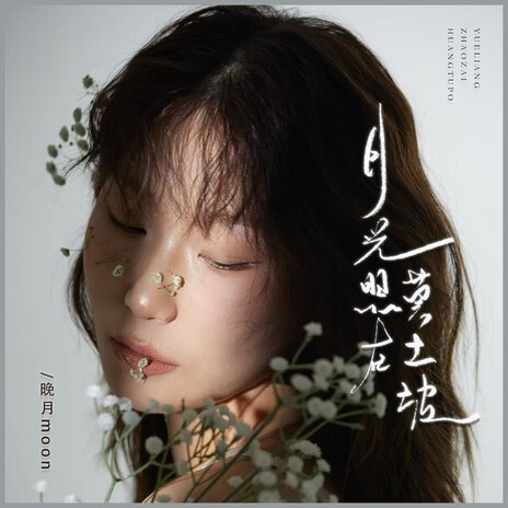 晚月moon-月光照在黄土坡 cover art
