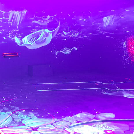Rosa cover art
