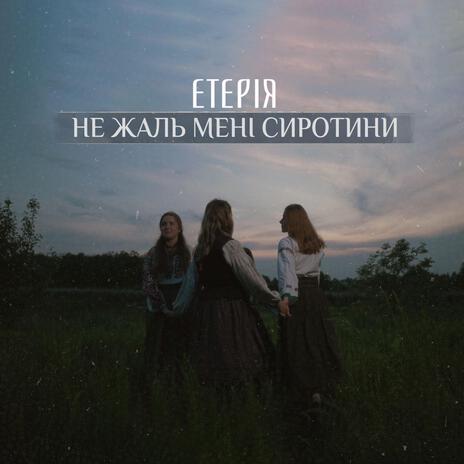 Не жаль мені сиротини cover art