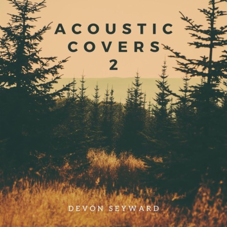 Something cover art
